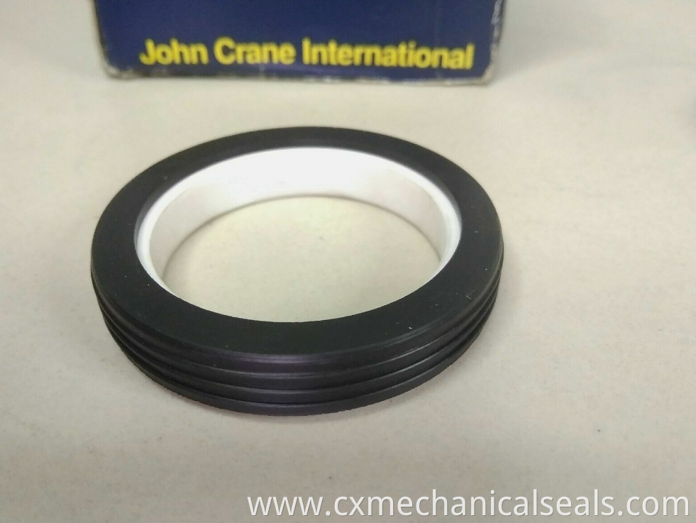 John Crane type 21